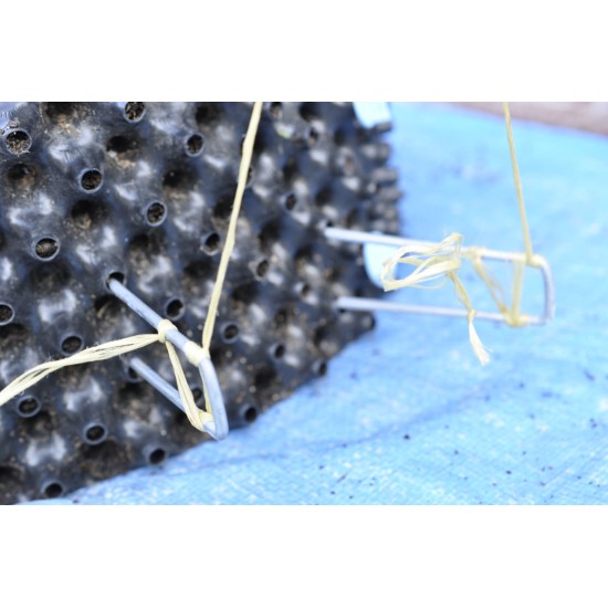 Weed Mat Metal Staple/Pin/Peg (4 mm Thick, 150 mm Long) (SINGLE) Weed Mat Metal Staple/Pin/Peg (4 mm Thick, 150 mm Long) (SINGLE)