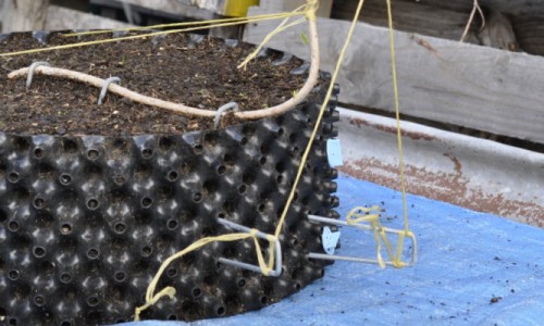 Use of Weed Mat Pins With Air-Pot Bonsai Training Pots