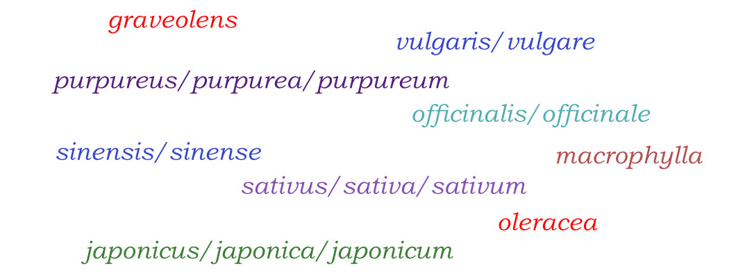 Words Which Frequently Appear in the Names of Botanical Species