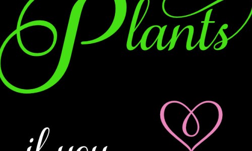 You Can't Have Plants if...