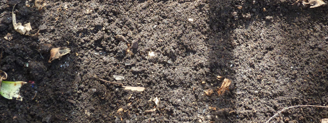 Composting in a Box Composting in a Box