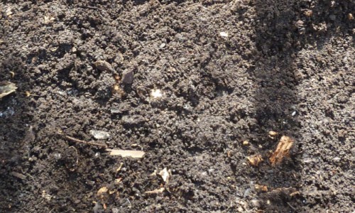 Composting in a Box