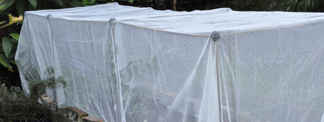 Quickly Constructing  Vegie Bed Protection