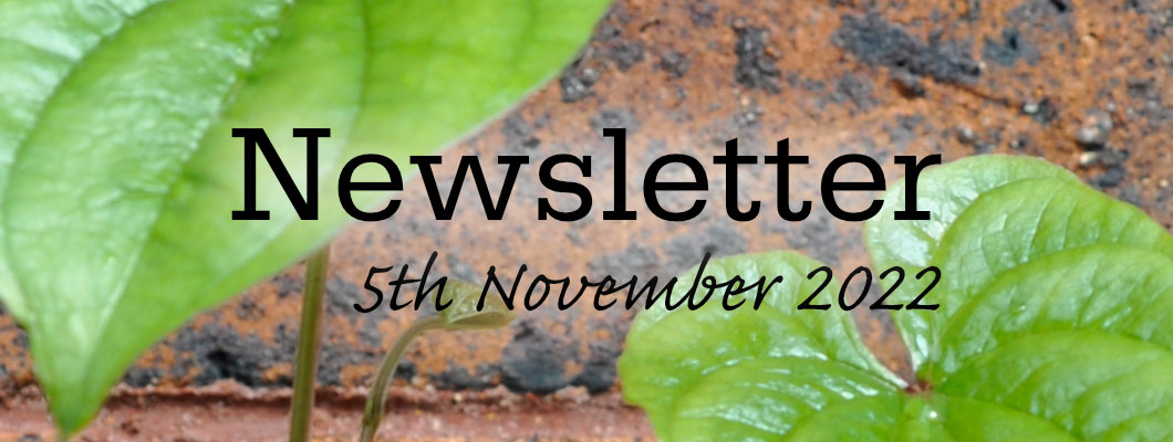 Newsletter 5th November 2022