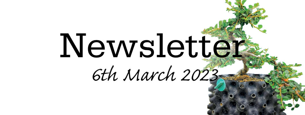 Newsletter 6th March 2023