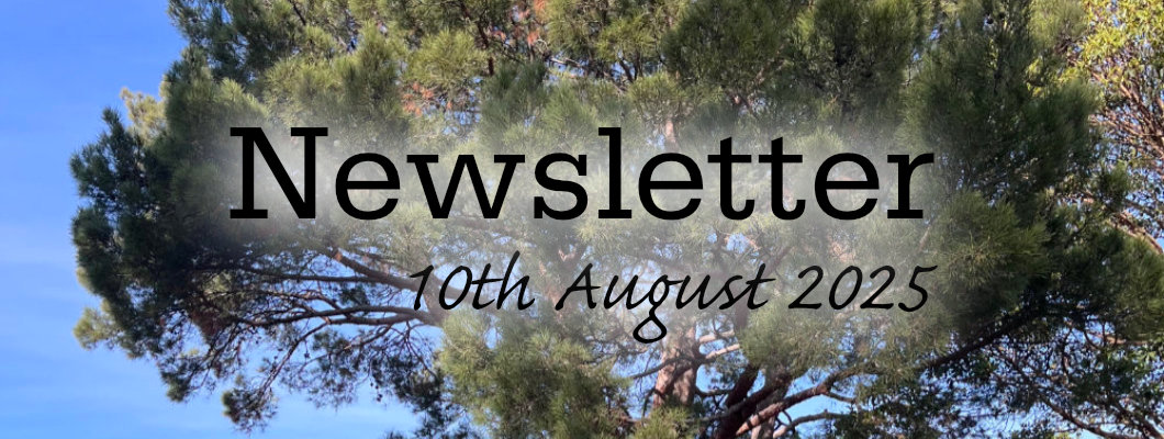 Newsletter 10th August 2025