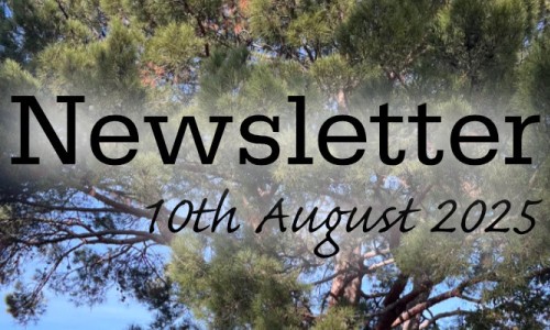 Newsletter 10th August 2025