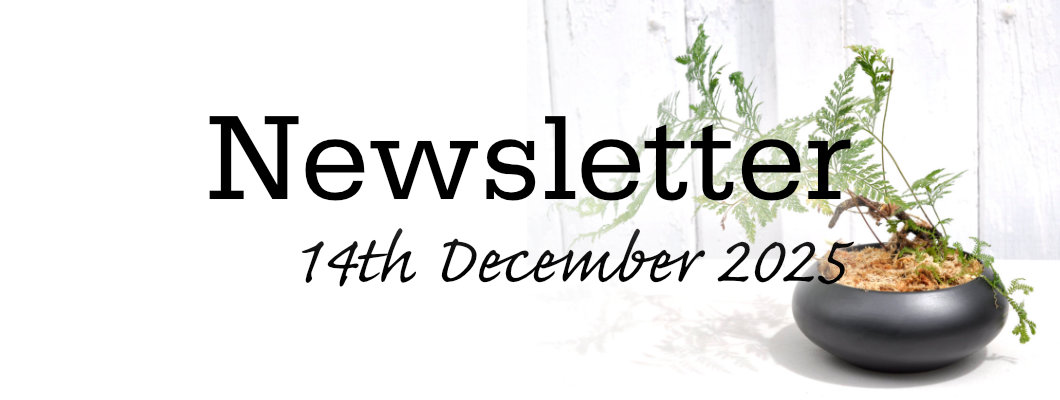 Newsletter 14th December 2025