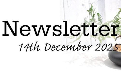 Newsletter 14th December 2025