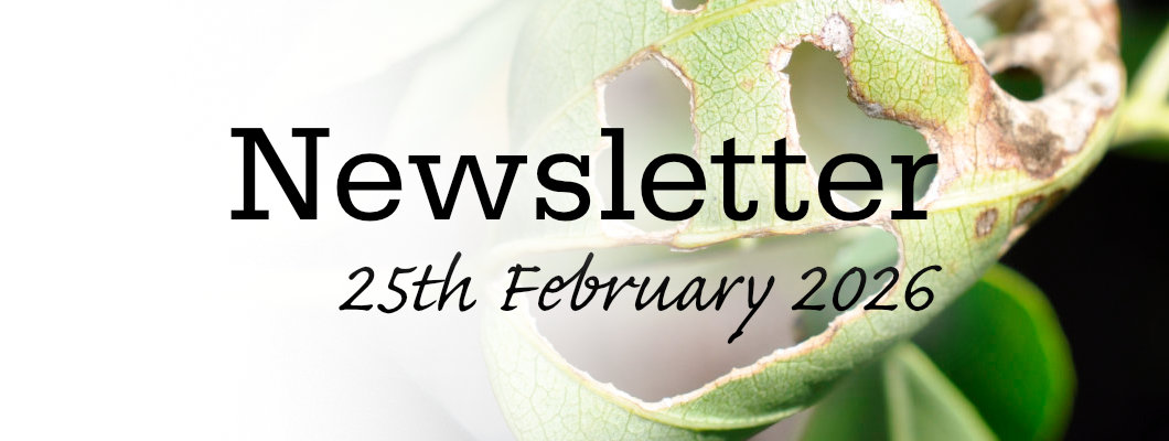 Newsletter 25th February 2026