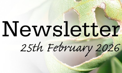 Newsletter 25th February 2026