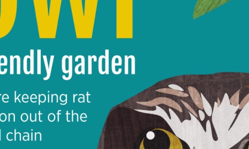 PLEASE Say NO! to SGAR Rat Poisons