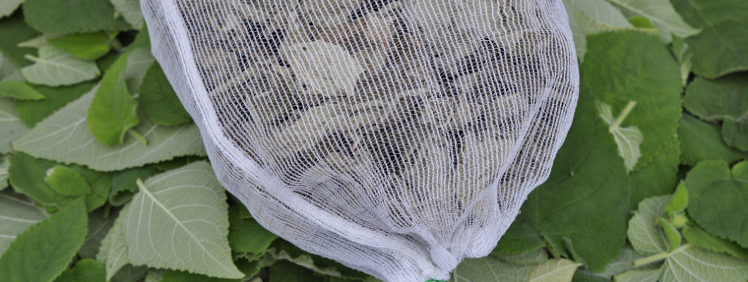 Using Fruit Protection Bags and Sleeves to Prepare Potpourri