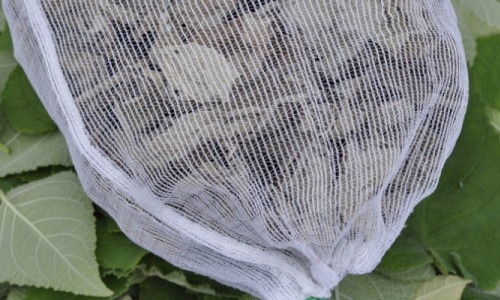 Using Fruit Protection Bags and Sleeves to Prepare Potpourri