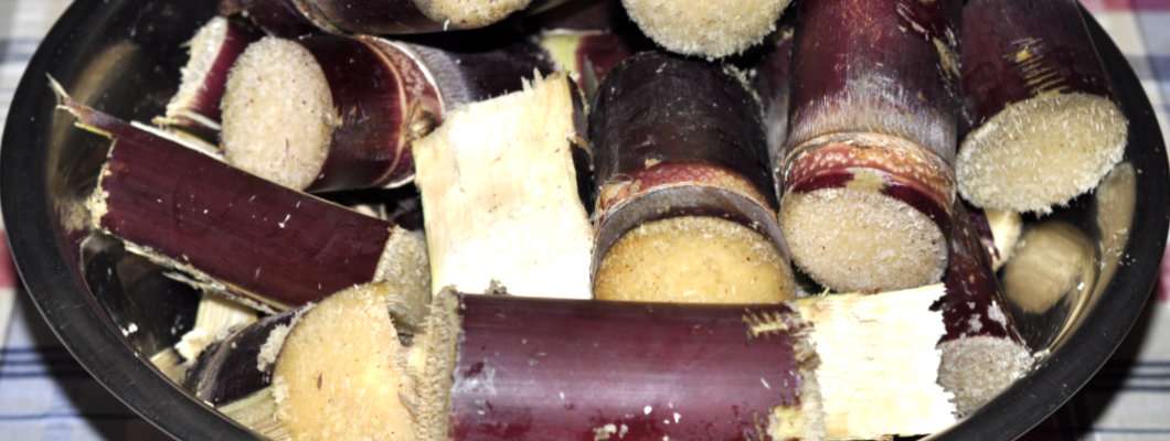 One Way to Process Your Own Homegrown Sugarcane One Way to Process Your Own Homegrown Sugarcane