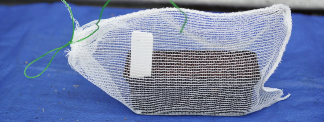Using Fruit Protection Bags and Sleeves to Protect Seeds and Seedlings