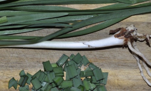 Society Garlic: When Garlic and Garlic Chives Had a Love Child