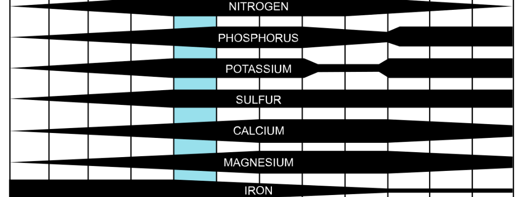 The Importance of Soil pH to Plant Health The Importance of Soil pH to Plant Health