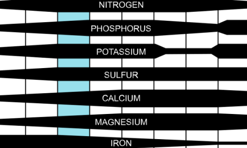 The Importance of Soil pH to Plant Health