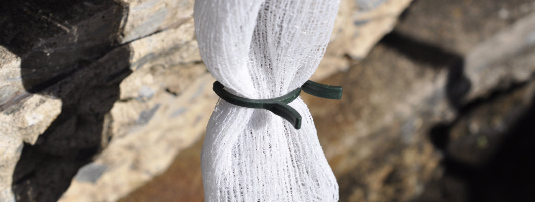 Using Fruit Protection Bags and Sleeves to Protect Saplings and Young Trees
