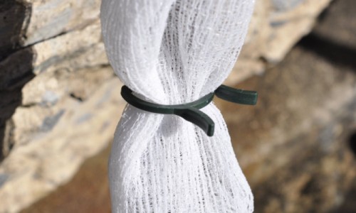 Using Fruit Protection Bags and Sleeves to Protect Saplings and Young Trees