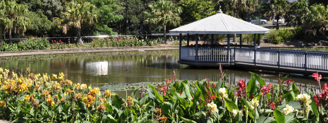 The Wollongong Botanic Garden: Out and About