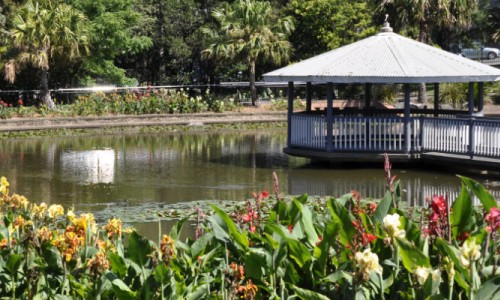 The Wollongong Botanic Garden: Out and About