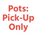 Pots: Pick-Up Only