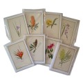 5″ × 7″ Botanical Blank Cards