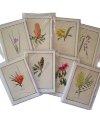 5″ × 7″ Botanical Blank Cards