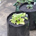 Grow Bags and Hedge Bags
