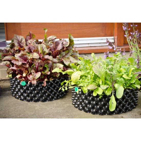 Air-Pot Large Seed and Salad/Herb Tray (9.4 L) NON-SPEC - from 1 Unit