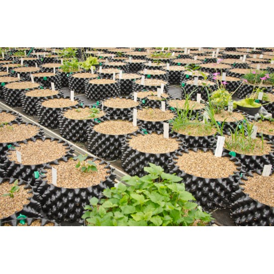 Air-Pot Small Seed Tray (4.1 L) - from 1 Unit