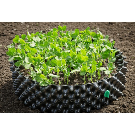 Air-Pot Large Seed and Salad/Herb Tray (9.4 L) NON-SPEC - from 1 Unit