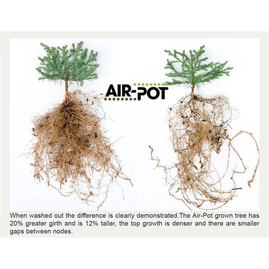 Air-Pot Small Seed Tray (4.1 L) - from 1 Unit