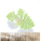 Aquatic Mosquitofern (Azolla pinnata) as Propagation Material