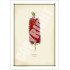 010 Bottlebrush (Callistemon) - 5″ × 7″ Blank Greeting Card With Envelope