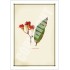 224 Corymbia ficifolia - 5″ × 7″ Blank Greeting Card With Envelope