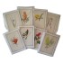 Any Six 5″ × 7″ Blank Cards (Includes Envelopes)