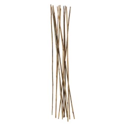 Bamboo Cane/Stake, 105 cm Long, 8-10 mm Diameter, per Half-Dozen or Dozen