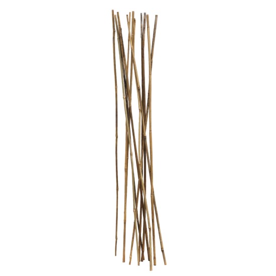 Bamboo Cane/Stake, 105 cm Long, 8-10 mm Diameter, per Each Bamboo Cane/Stake, 105 cm Long, 8-10 mm Diameter, per Each