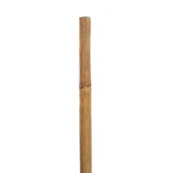 Bamboo Cane/Stake, 105 cm Long, 8-10 mm Diameter, per Each