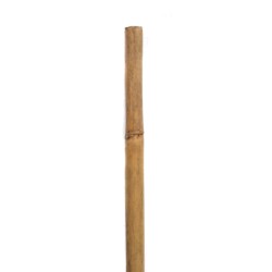 Bamboo Cane/Stake, 105 cm Long, 8-10 mm Diameter, per Each