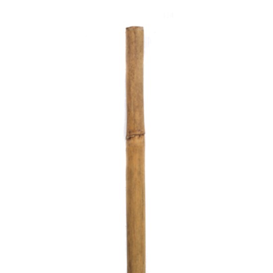 Bamboo Cane/Stake, 105 cm Long, 8-10 mm Diameter, per Each Bamboo Cane/Stake, 105 cm Long, 8-10 mm Diameter, per Each