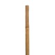 Bamboo Cane/Stake, 105 cm Long, 8-10 mm Diameter, per Each Bamboo Cane/Stake, 105 cm Long, 8-10 mm Diameter, per Each