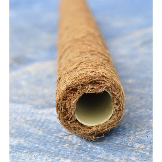 60 cm Extendable Coir Pole for Vines, Epiphytes, and Other Climbing Plants