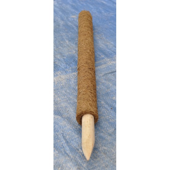 60 cm Extendable Coir Pole for Vines, Epiphytes, and Other Climbing Plants