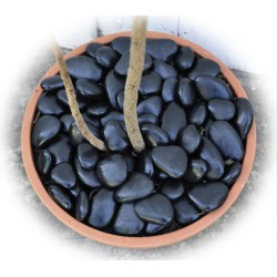 "EnviroPebbles" - Decorative Black Pebbles for Pots, Window Boxes and Large Planters (per 0.6 kg)