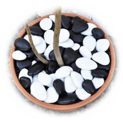 "EnviroPebbles" - Decorative Black and Off-White Pebble Mix for Pots, Window Boxes and Large Planters (per1 kg)