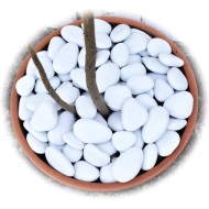 "EnviroPebbles" - Decorative White Pebbles for Pots, Window Boxes and Large Planters (per 0.6 kg)